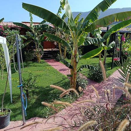 Arlin Bungalows Kemer Eksteriør bilde