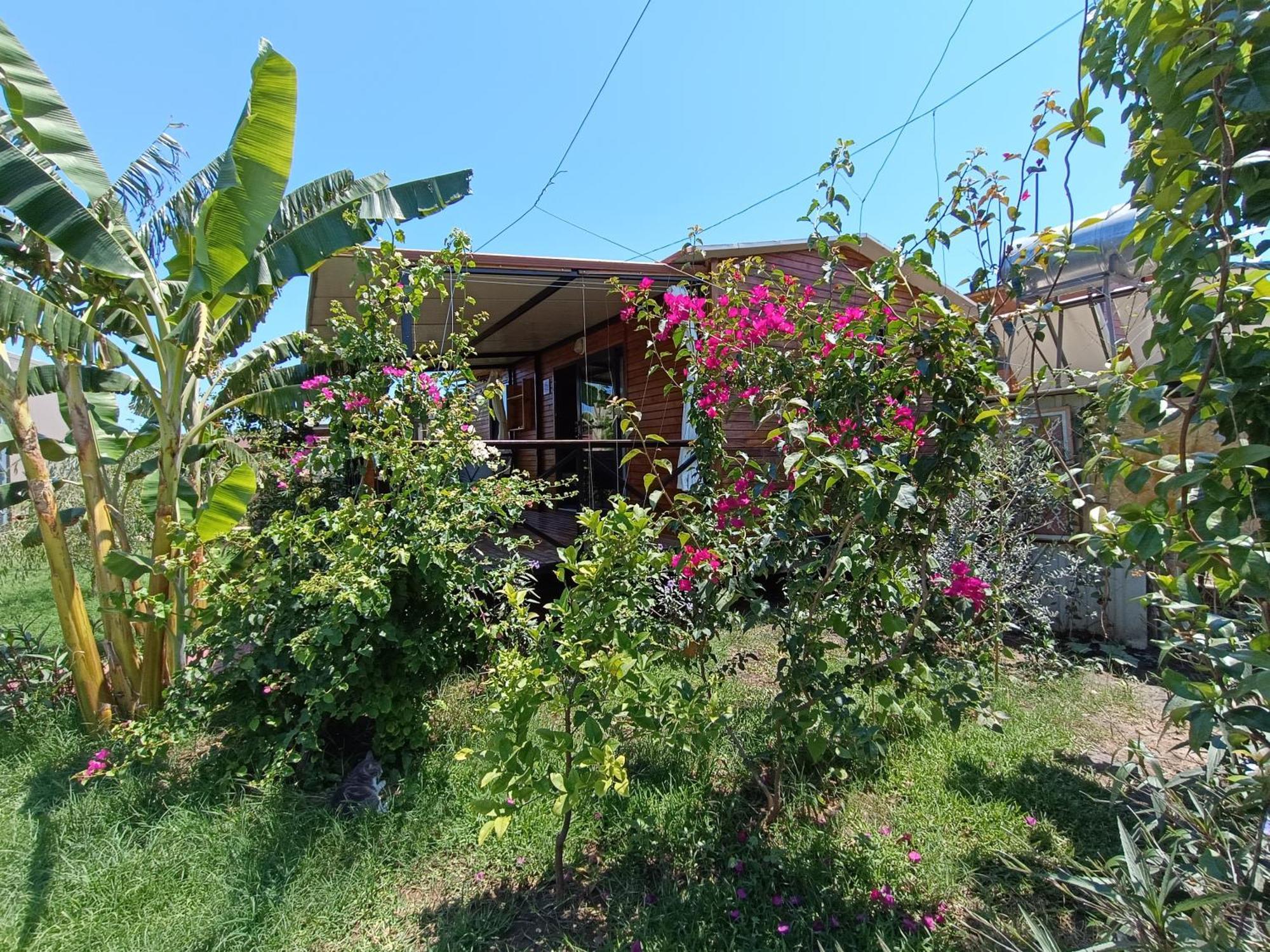 Arlin Bungalows Kemer Eksteriør bilde